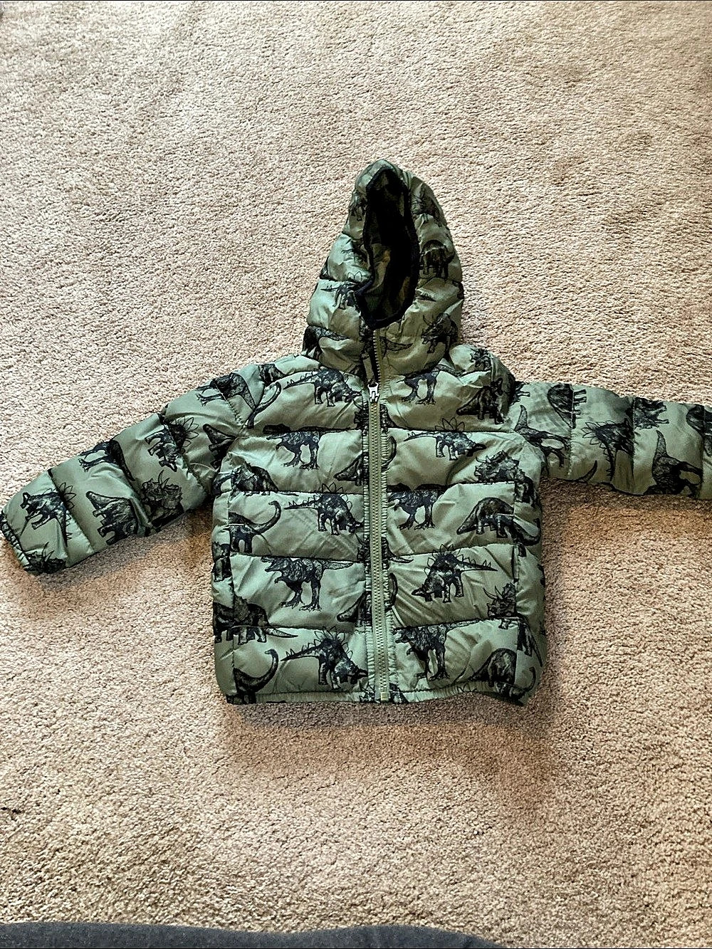 The Children's Place Boys 3T Green Dino Print Puffer Like New